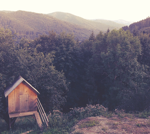 Stock photo of a cosy cabin overlooking a forest.